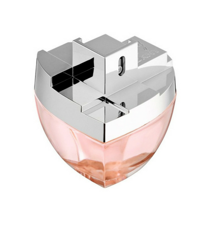 dkny my ny for women edp 100ml